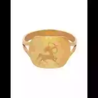 Bague Rectangle Embl&egrave;me Zodiaque image cachée