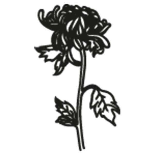 Icone fleur-16.png