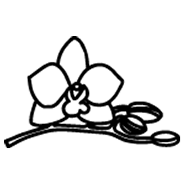 Icone fleur-18.png