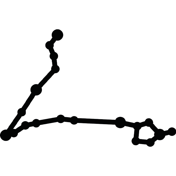 Icone constellation-01.png